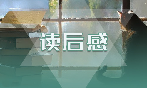 《巴黎圣母院》读后感500字